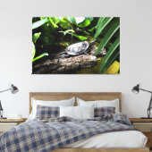 Toile Tortue sur une bûche (Insitu(Chambre))
