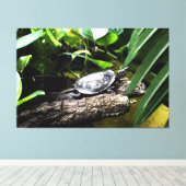 Toile Tortue sur une bûche (Insitu (Plancher de Bois))