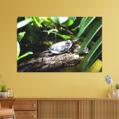 Toile Tortue sur une bûche (Insitu(Salon))