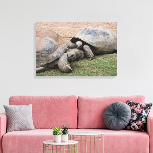 Toile tortues géantes (Insitu(Salon))