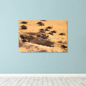 Toile Tortues marines (Insitu (Plancher de Bois))