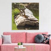 Toile Tortues Peintes Se Soldant Dans Un Étang (Insitu(Salon))