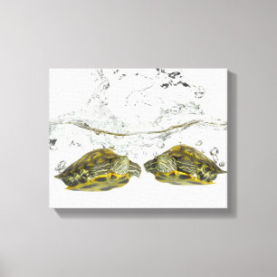 Toile Tortues rouges
