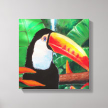 Toucan Exotic Faune Oiseau Enveloppé Canvas
