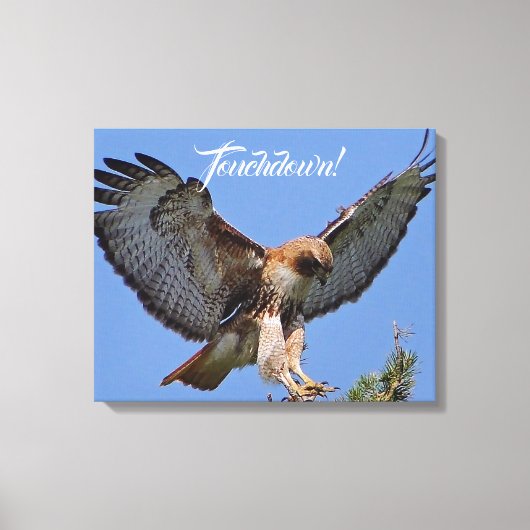 Toile Touchdown Red Tail HawK (Recto)