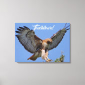 Toile Touchdown Red Tail HawK (Recto)