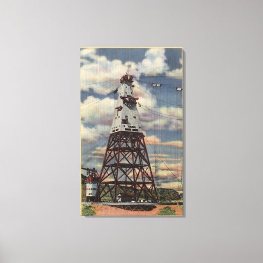 Toile Tour de tête, Plante mixte, barrage Shasta (Recto)