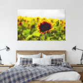 Toile Tournesol (Insitu(Chambre))