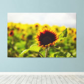 Toile Tournesol (Insitu (Plancher de Bois))