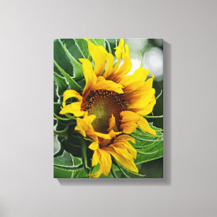 Toile Tournesol