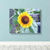 Toile tournesol (Insitu (Plancher de Bois))