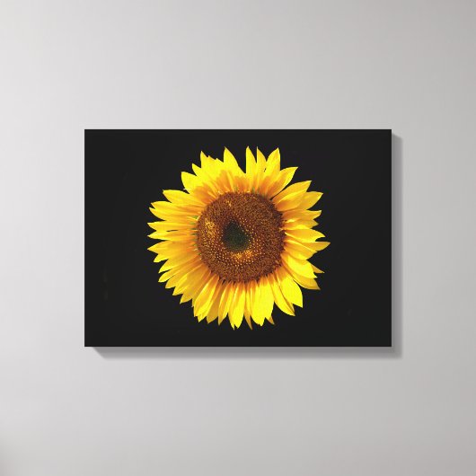 Toile Tournesol (Recto)