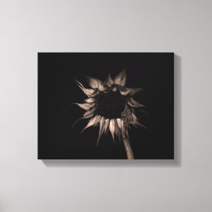 Toile Tournesol à Sepia Art Photographie Cool unique