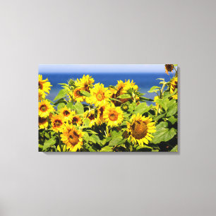 Toile Tournesol coloré en fleur