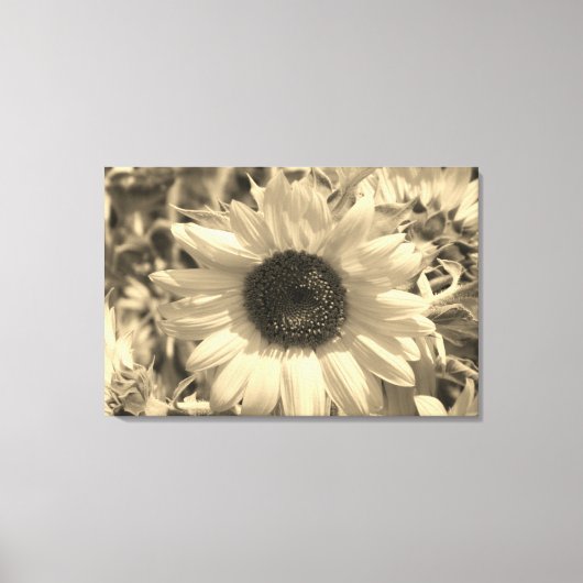 Toile Tournesol étonnant (Recto)