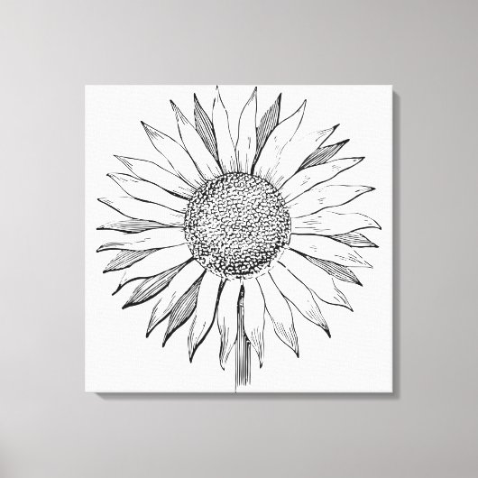 Toile Tournesol illustré (Recto)