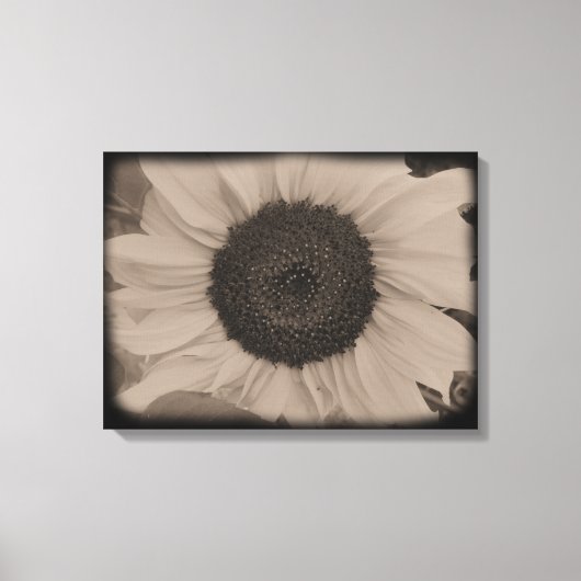 Toile Tournesol intégral en Diatrope (Recto)