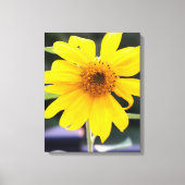 Toile Tournesol jaune assez brillant Gros plan (Recto)