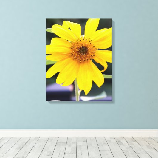 Toile Tournesol jaune assez brillant Gros plan (Insitu (Plancher de Bois))