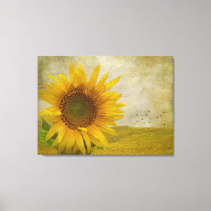 Toile Tournesol simple sur le pâturage de tournesol