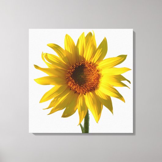 Toile Tournesol Soleil (Recto)