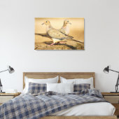 Toile Tourterelle triste (Insitu(Chambre))