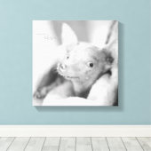 Toile Tout Rosie (Insitu (Plancher de Bois))