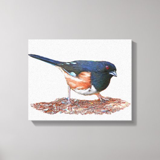 Toile Towhee (Recto)