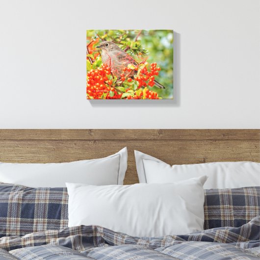 Toile Townsend's Solitaire Songbird on Scarlet Firethorn (Insitu(Chambre))