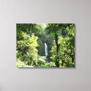 Toile Trafalgar Falls Tropical Rainforest Photographie