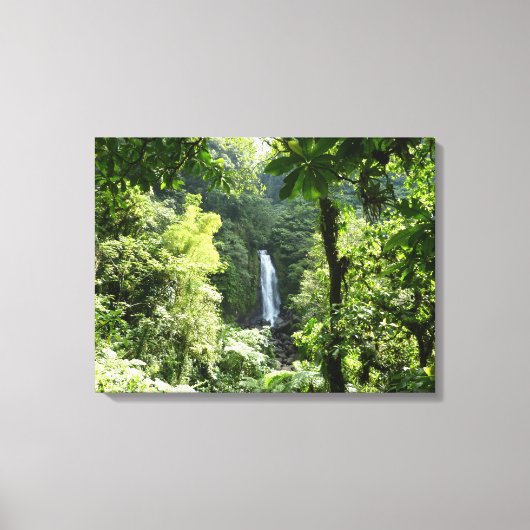 Toile Trafalgar Falls Tropical Rainforest Photographie (Recto)