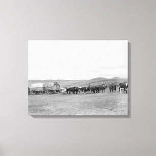 Toile Train des boeufs et des chariots dirigés pour