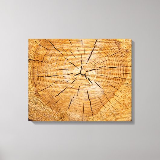 Toile Tranche de vie (Recto)