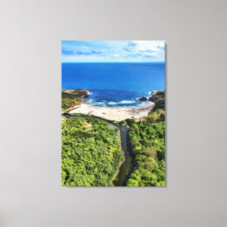 Toile Tranquil Beach at the River Mouth – Wild Nature La