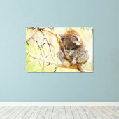Toile TRANQUIL KOALA 24x36 (Insitu (Plancher de Bois))
