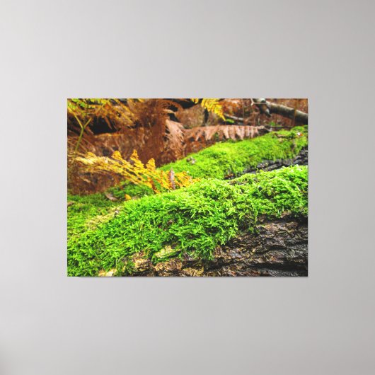 Toile Tree Bark in Autumn Moss - (Recto)