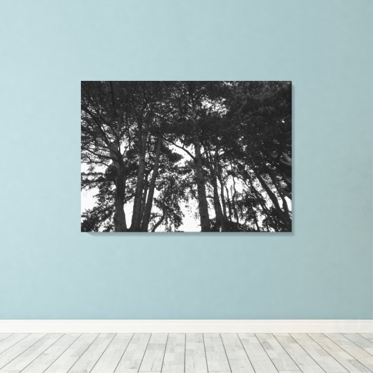 Toile Tree Canopy II, Bute Park, Cardiff (Insitu (Plancher de Bois))