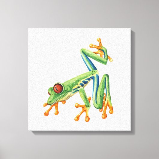 Toile Tree frog (Recto)