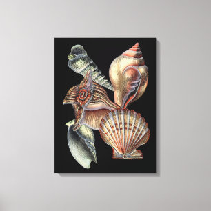 Toile Trésors de la mer