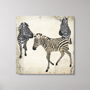 Toile Trio vintage noir et blanc Zebra