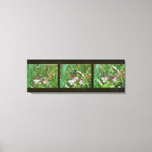 Toile Triptyque de papillons Buckeye
