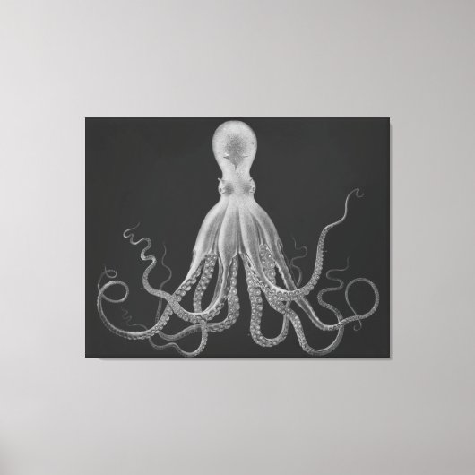 Toile Triptyque Octopus surdimensionné en gris (Recto)