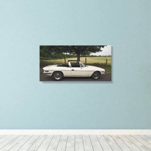 Toile Triumph Stag (Insitu (Plancher de Bois))