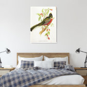 Toile Trogon Ambiguus (Insitu(Chambre))