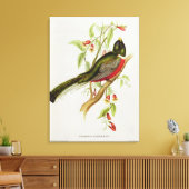 Toile Trogon Ambiguus (Insitu(Salon))