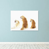 Toile Trois chiens regardant la caméra (Insitu (Plancher de Bois))