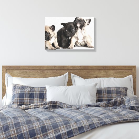 Toile Trois Chiots Carlins (Insitu(Chambre))