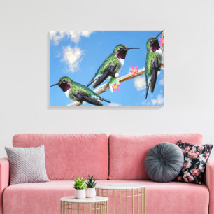 Toile Trois colibris perchés sur une branche d'une fleur