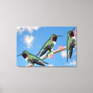 Toile Trois colibris perchés sur une branche d'une fleur
