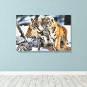 Toile Trois Cubes De Tigre En Jeu (Insitu (Plancher de Bois))